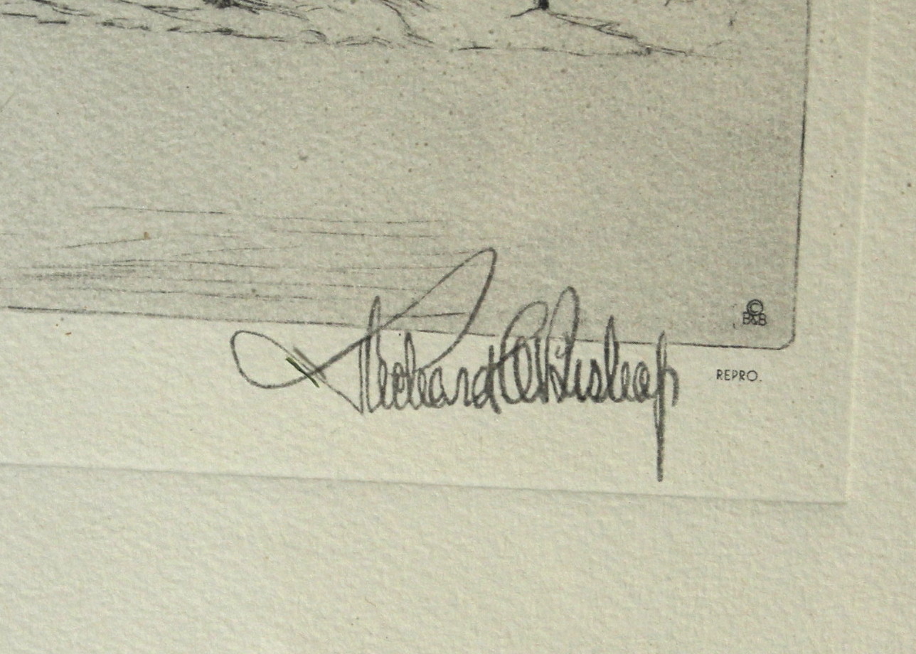 Richard E. Bishop "Whitebacks" Print