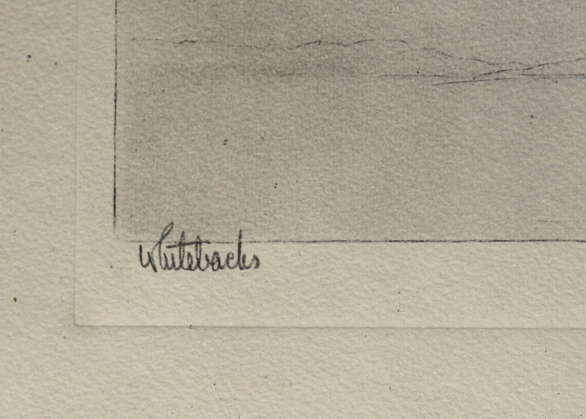 Richard E. Bishop "Whitebacks" Print