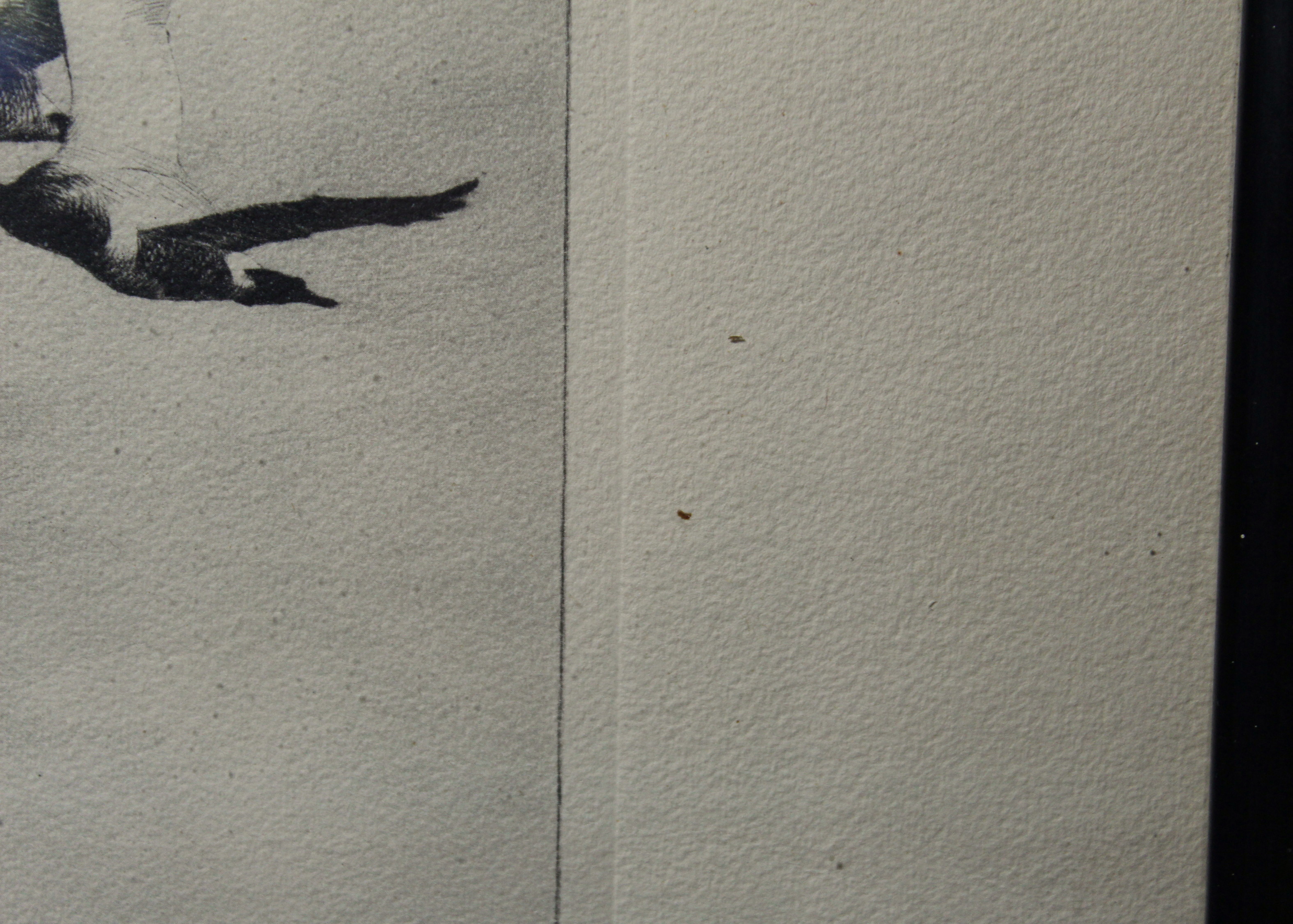 Richard E. Bishop "Whitebacks" Print