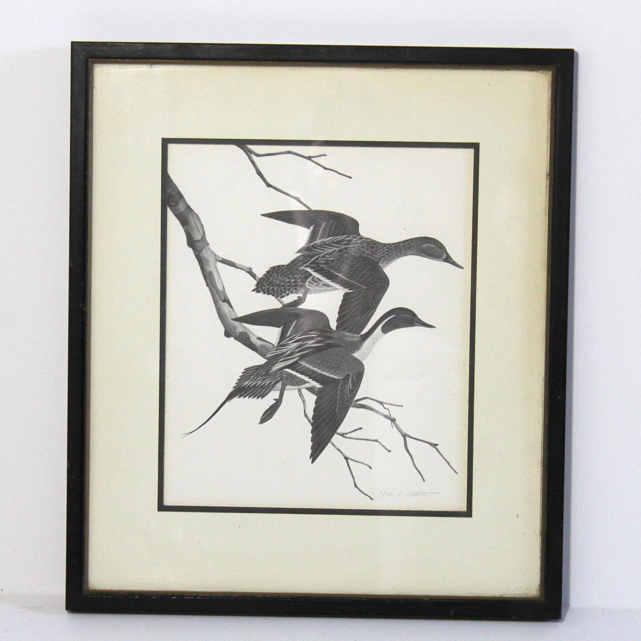 John Ruthven Offset Lithograph "Pintails"