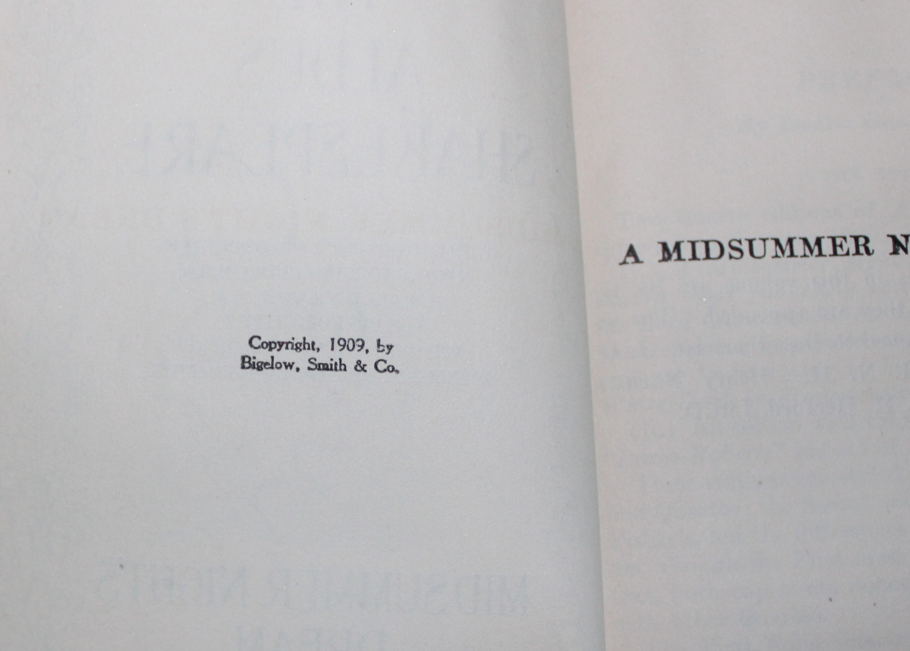 Selection of Antique and Vintage Books of Literature