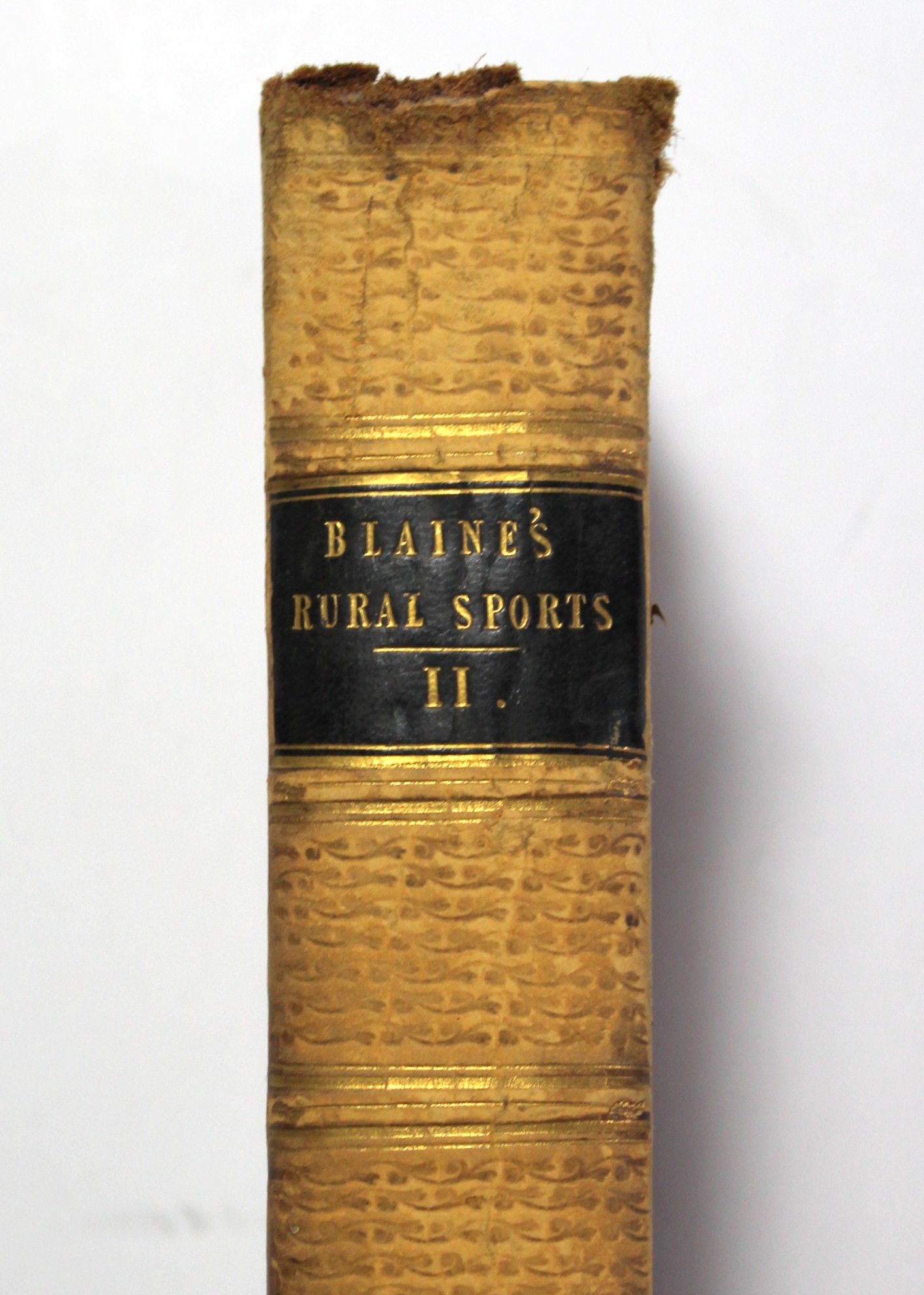 1920 Abercrombie & Fitch Catalog Plus Volume II of Blaine's Rural Sports