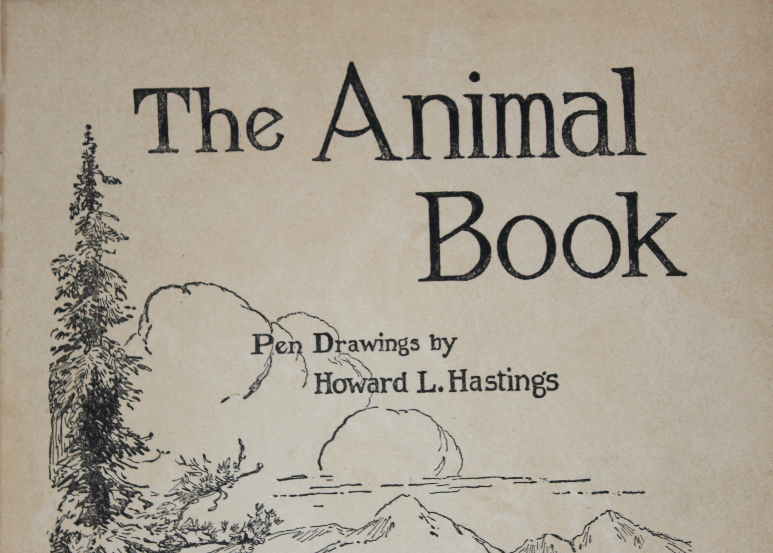 Vintage Children's Books