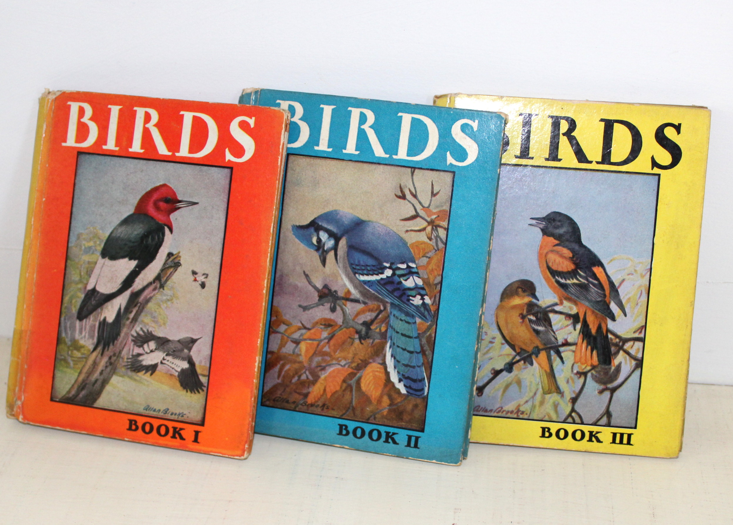 Vintage Children's Books