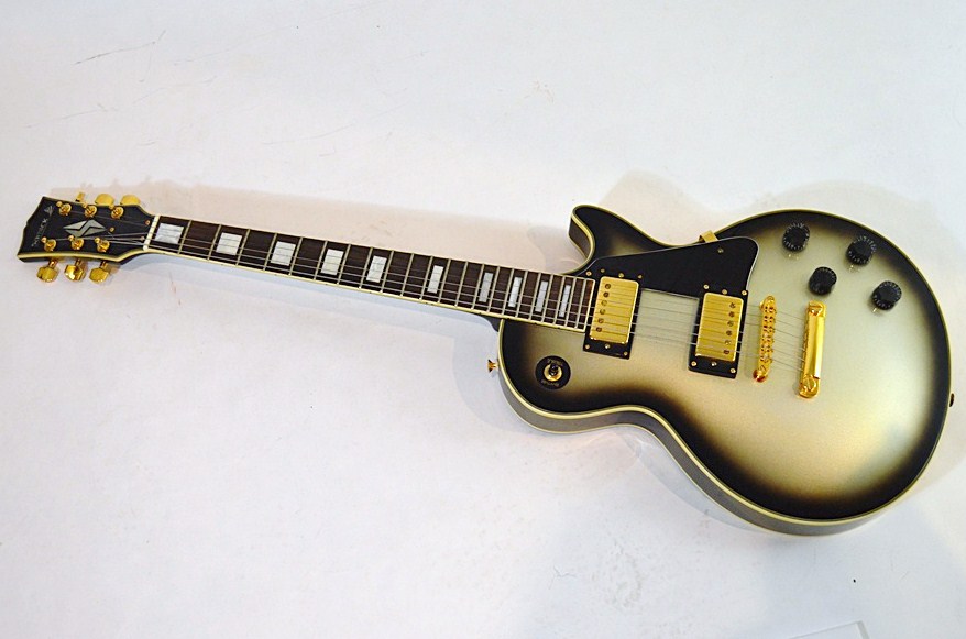 Samick Les Paul Style Electric Guitar With Hardshell Case