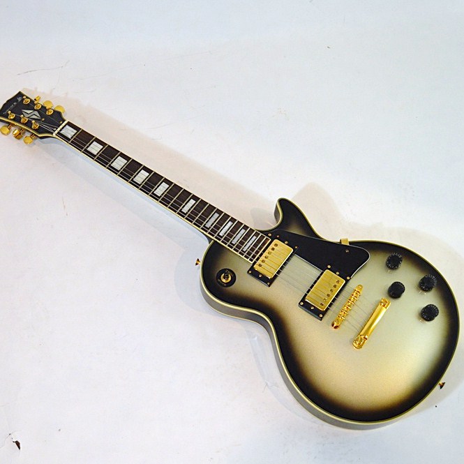 Samick Les Paul Style Electric Guitar With Hardshell Case