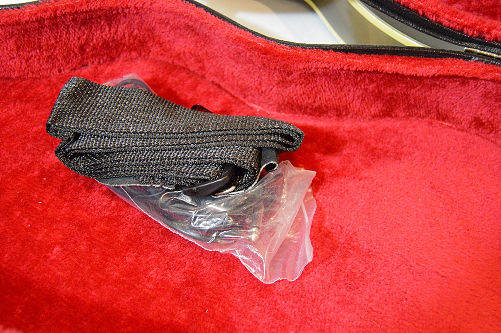 Samick Les Paul Style Electric Guitar With Hardshell Case