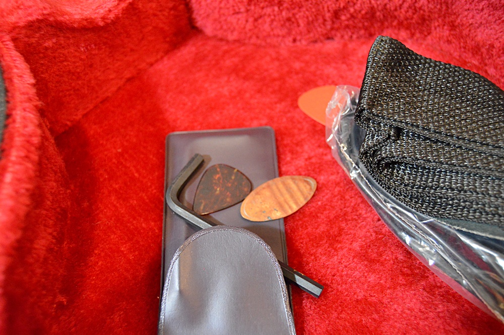 Samick Les Paul Style Electric Guitar With Hardshell Case