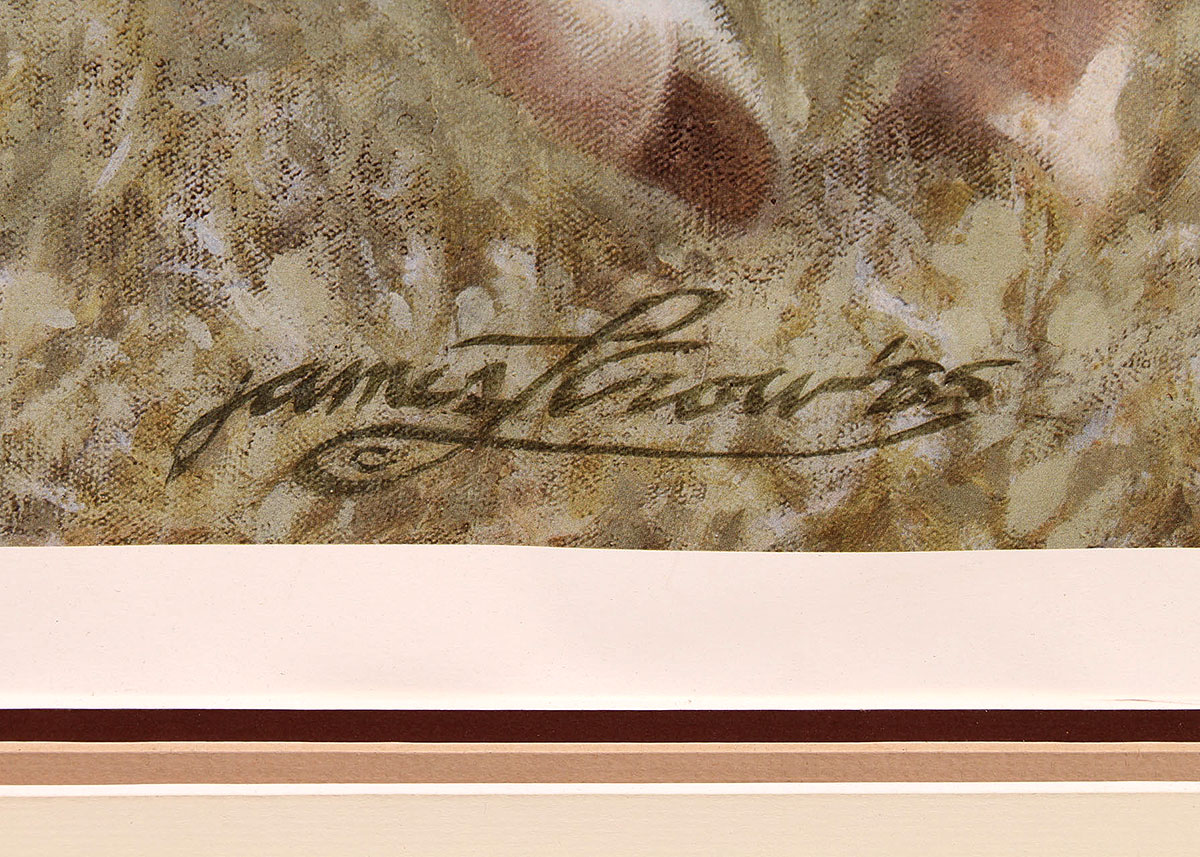 James L Crow Offset Lithograph Print