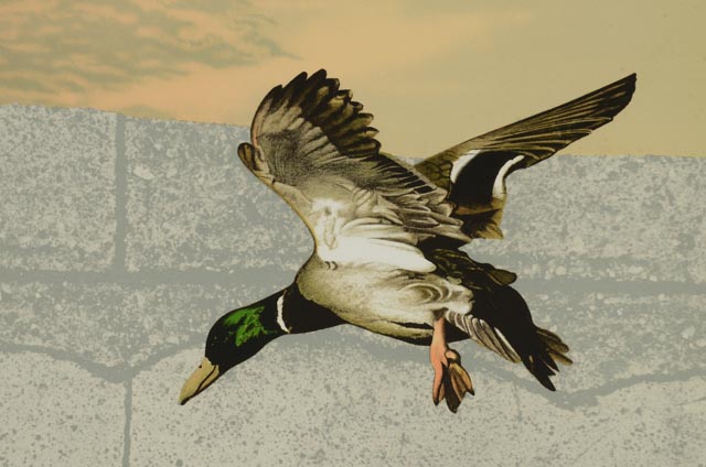 Michael Jay Knigin Lithograph "Take the Point"