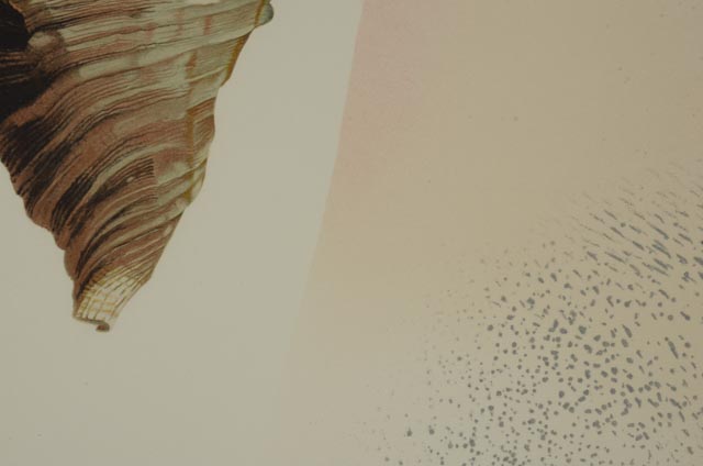 Michael Jay Knigin Lithograph "In the Clear"