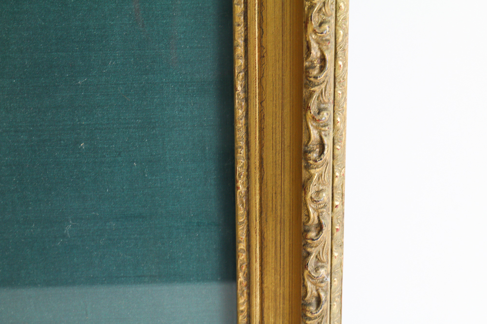 John Gould Framed Bird Print