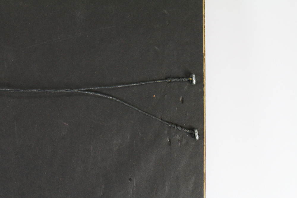 John Gould Framed Bird Print