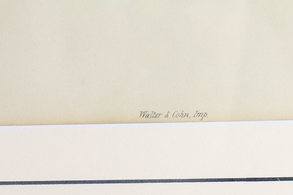 Famed Lithograph of "Hirundo Rustica" after John Gould