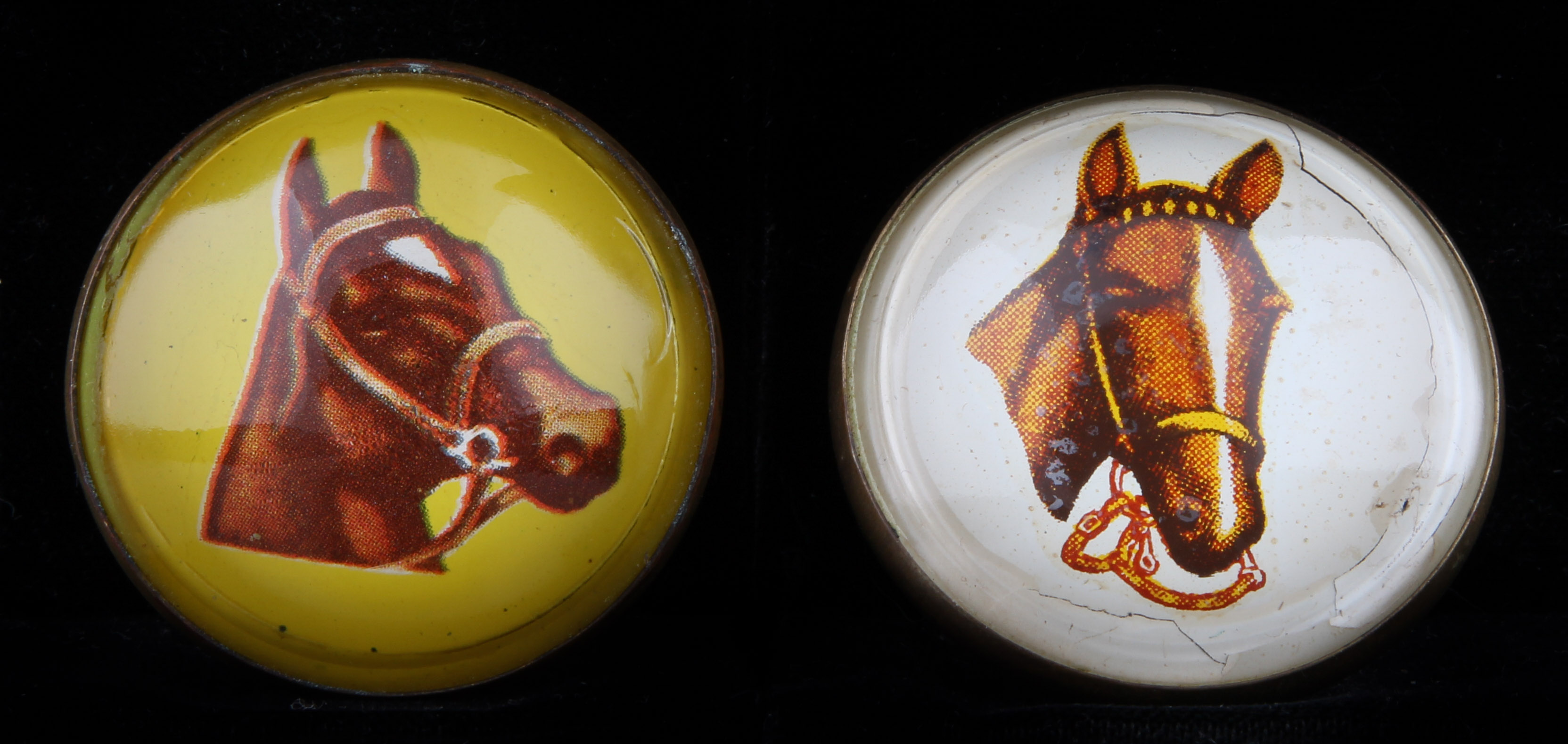 Glass and Brass Equine Bridal Tags