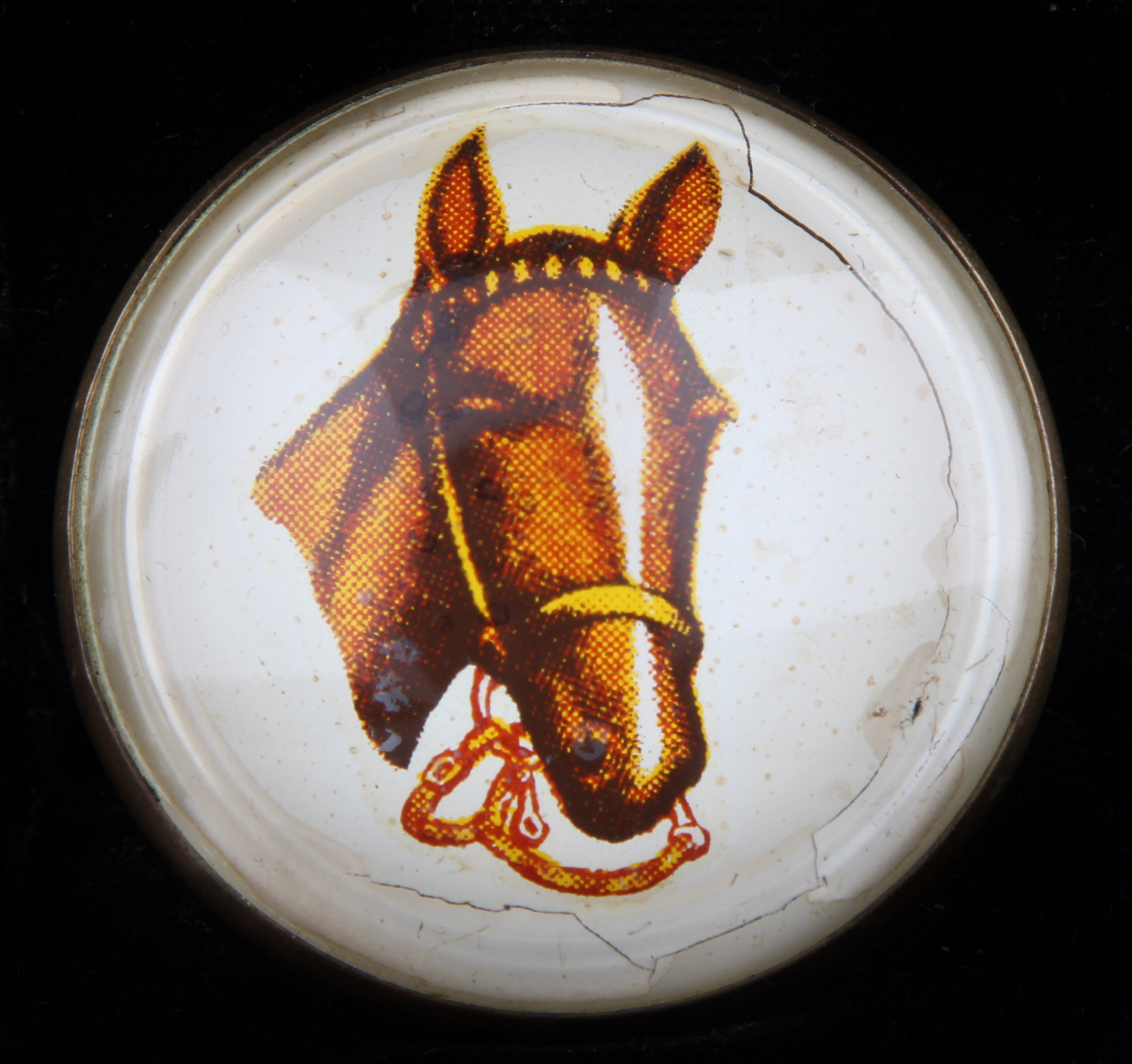 Glass and Brass Equine Bridal Tags