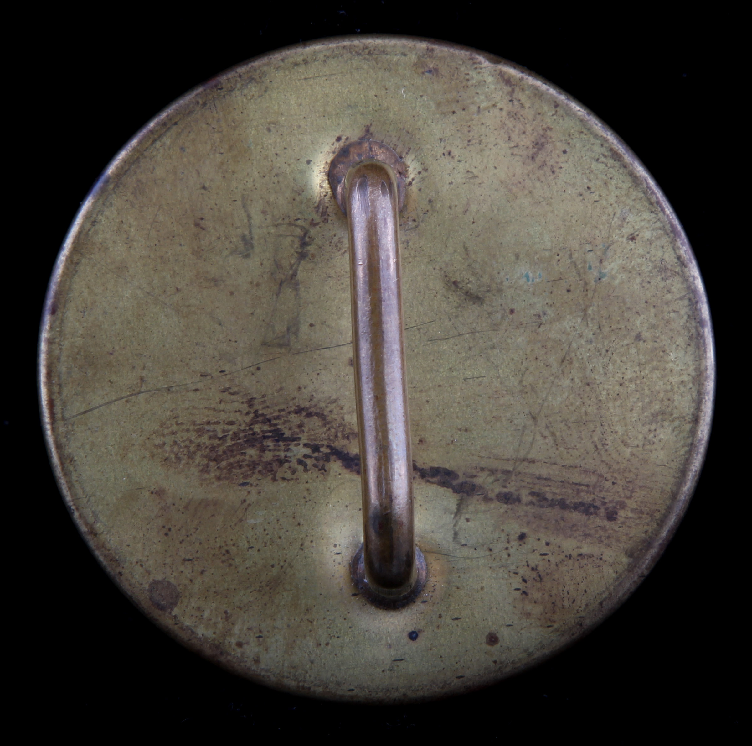 Glass and Brass Equine Bridal Tags