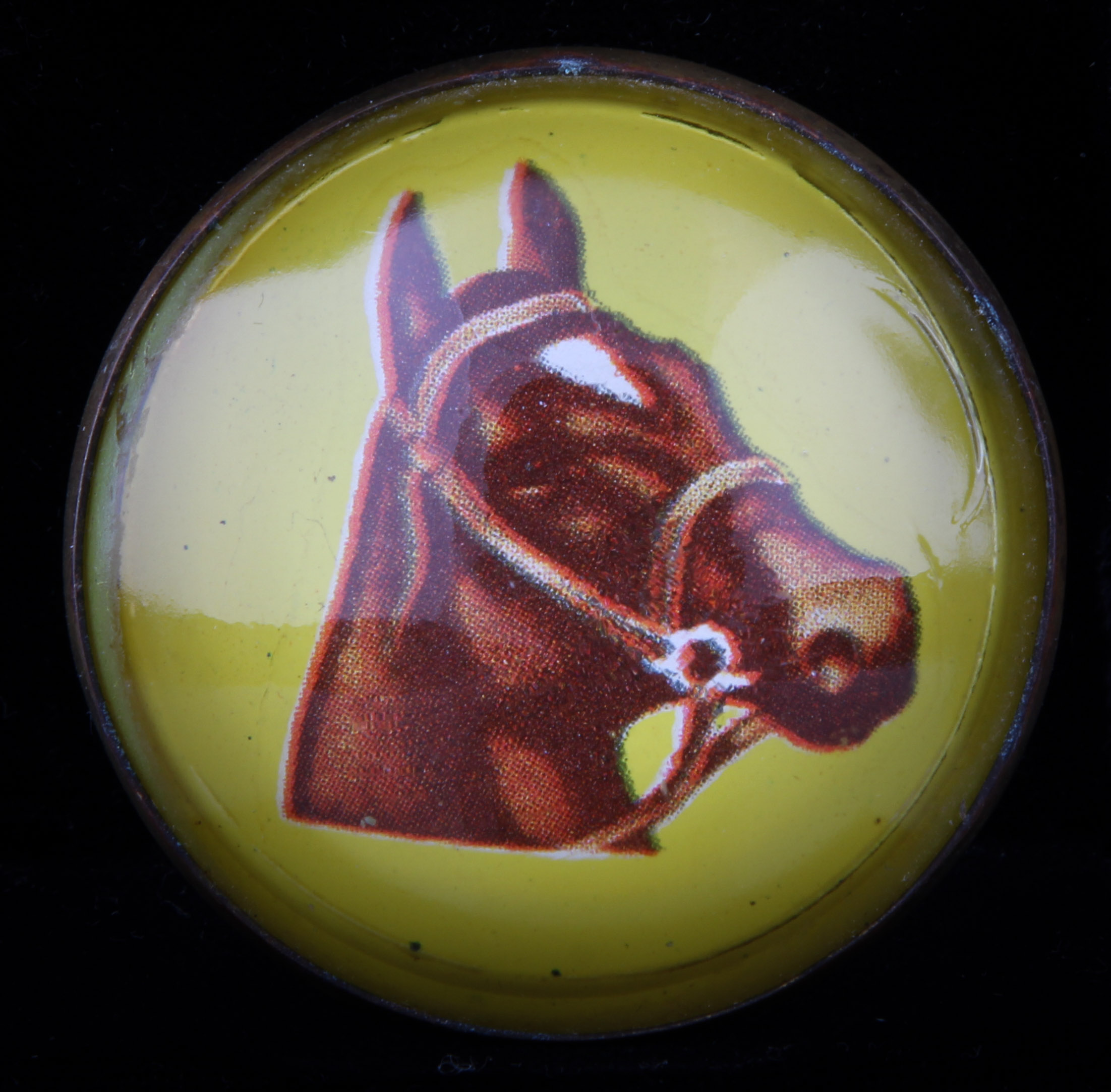 Glass and Brass Equine Bridal Tags