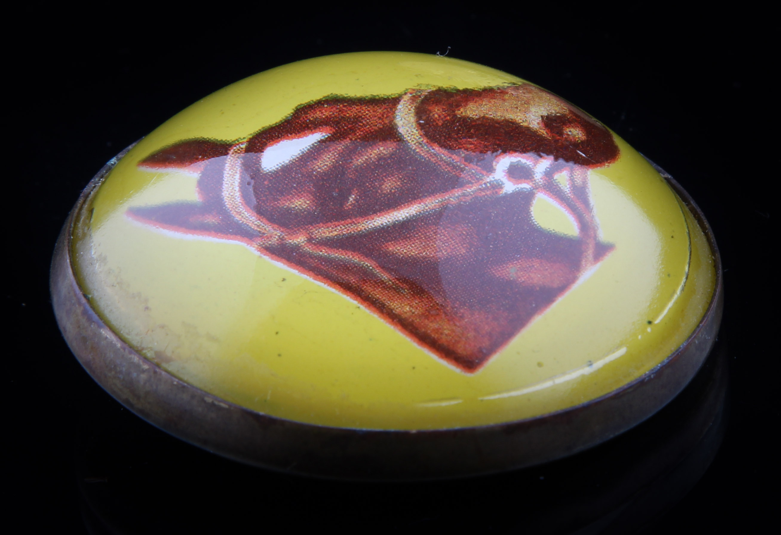 Glass and Brass Equine Bridal Tags