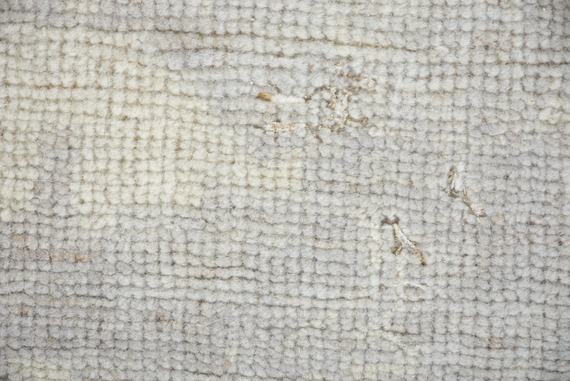 Contemporary Wool Area Rug