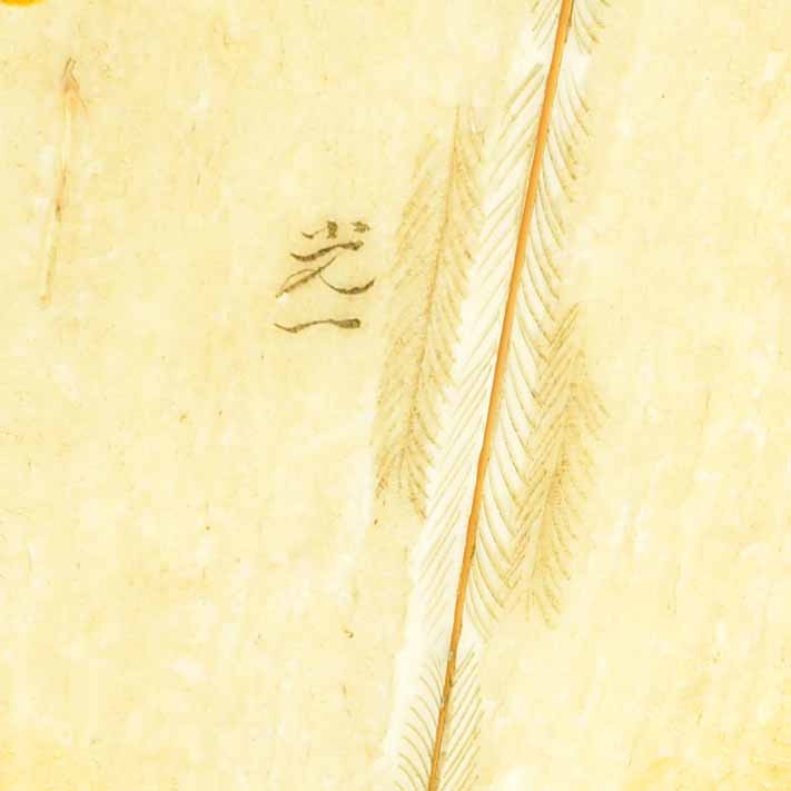 Japanese Meiji Period Ivory Okimono