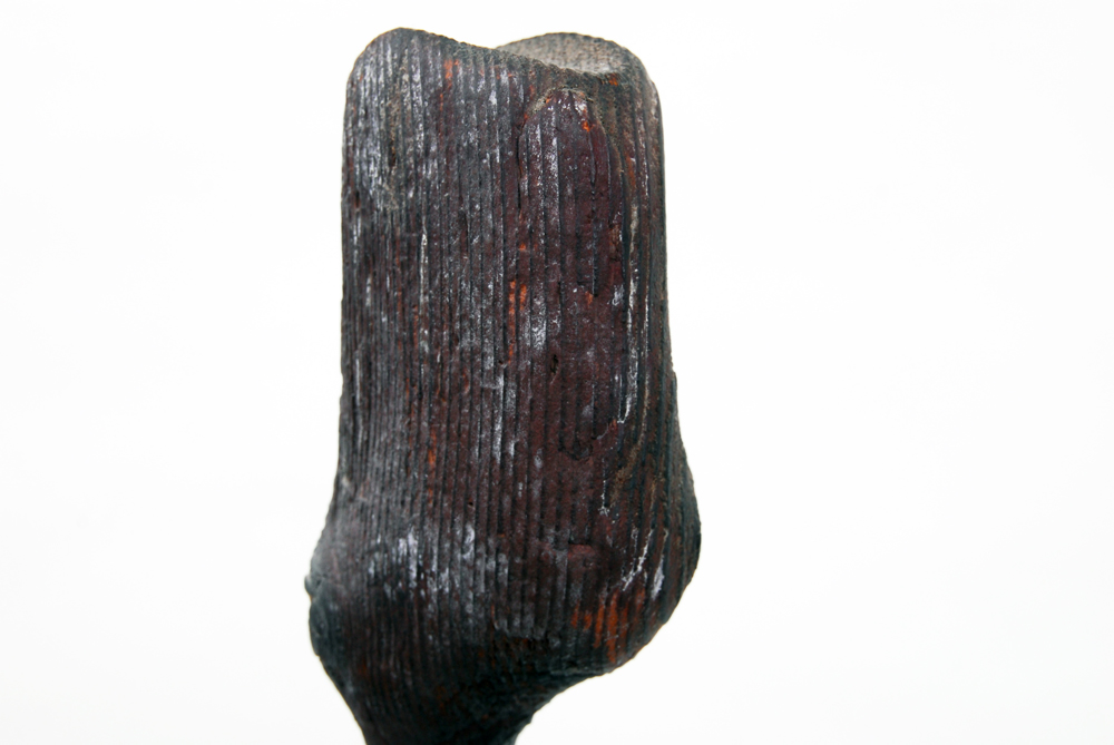 Driftwood Sculpture on Pedestal