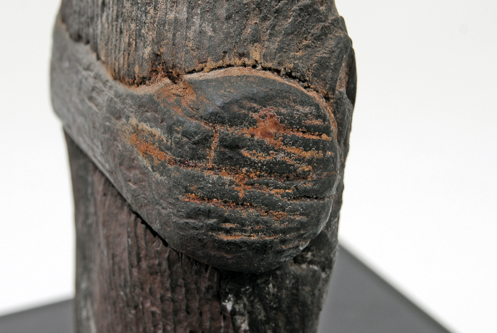 Driftwood Sculpture on Pedestal