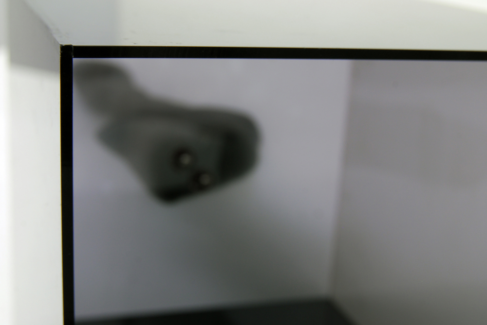 Driftwood Sculpture on Pedestal