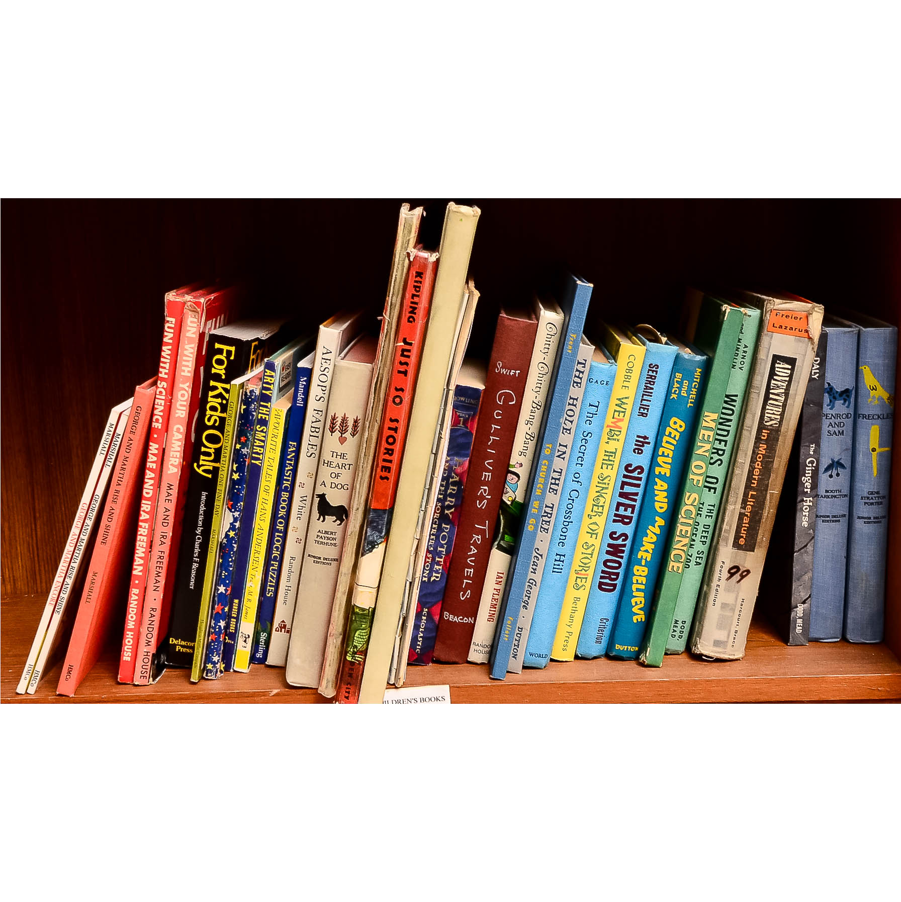 Collection of Books for Children and Young Adults