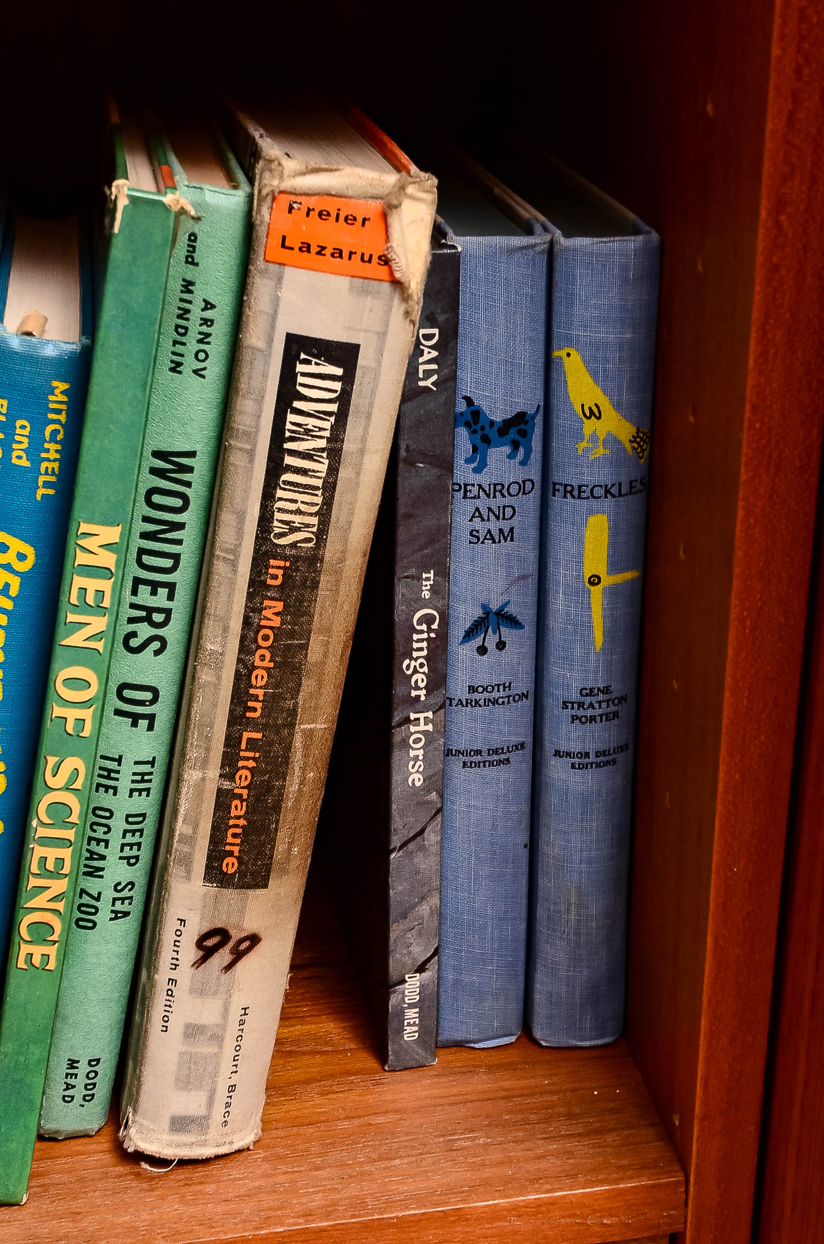 Collection of Books for Children and Young Adults