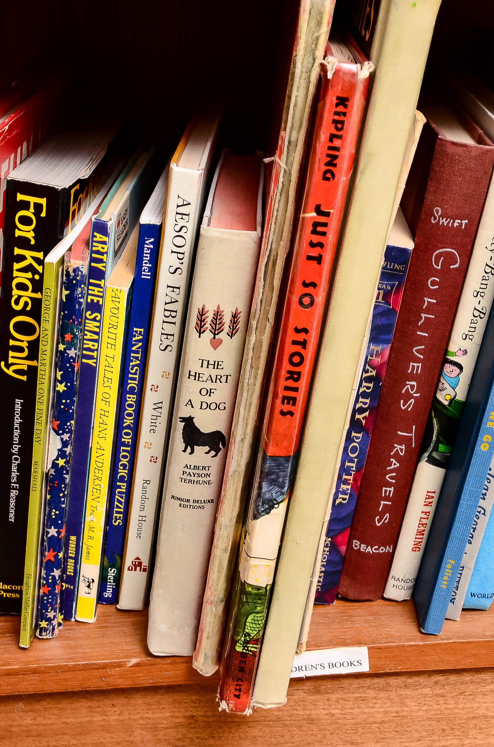 Collection of Books for Children and Young Adults