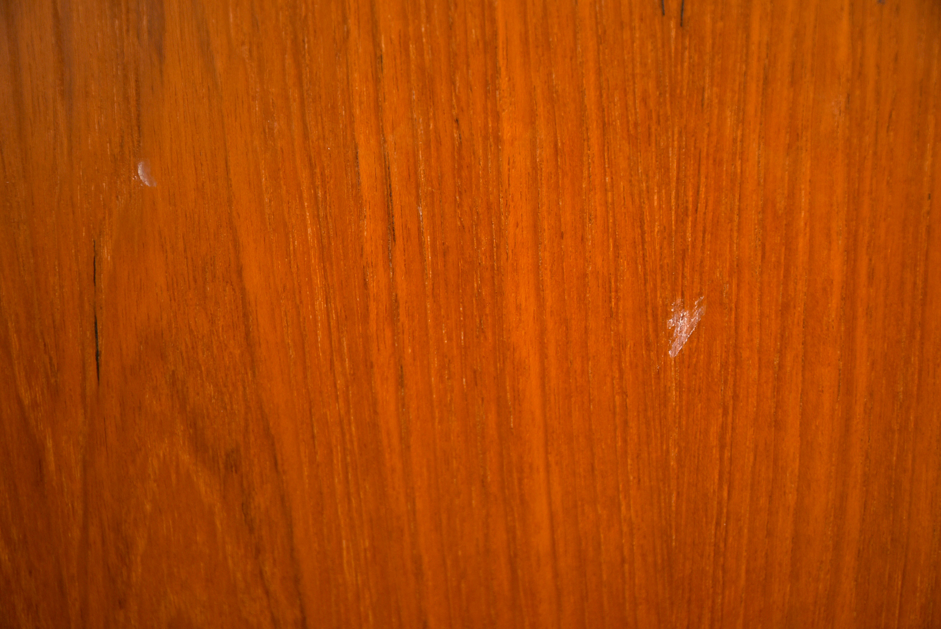 Contemporary Tall Bookshelf in Birch