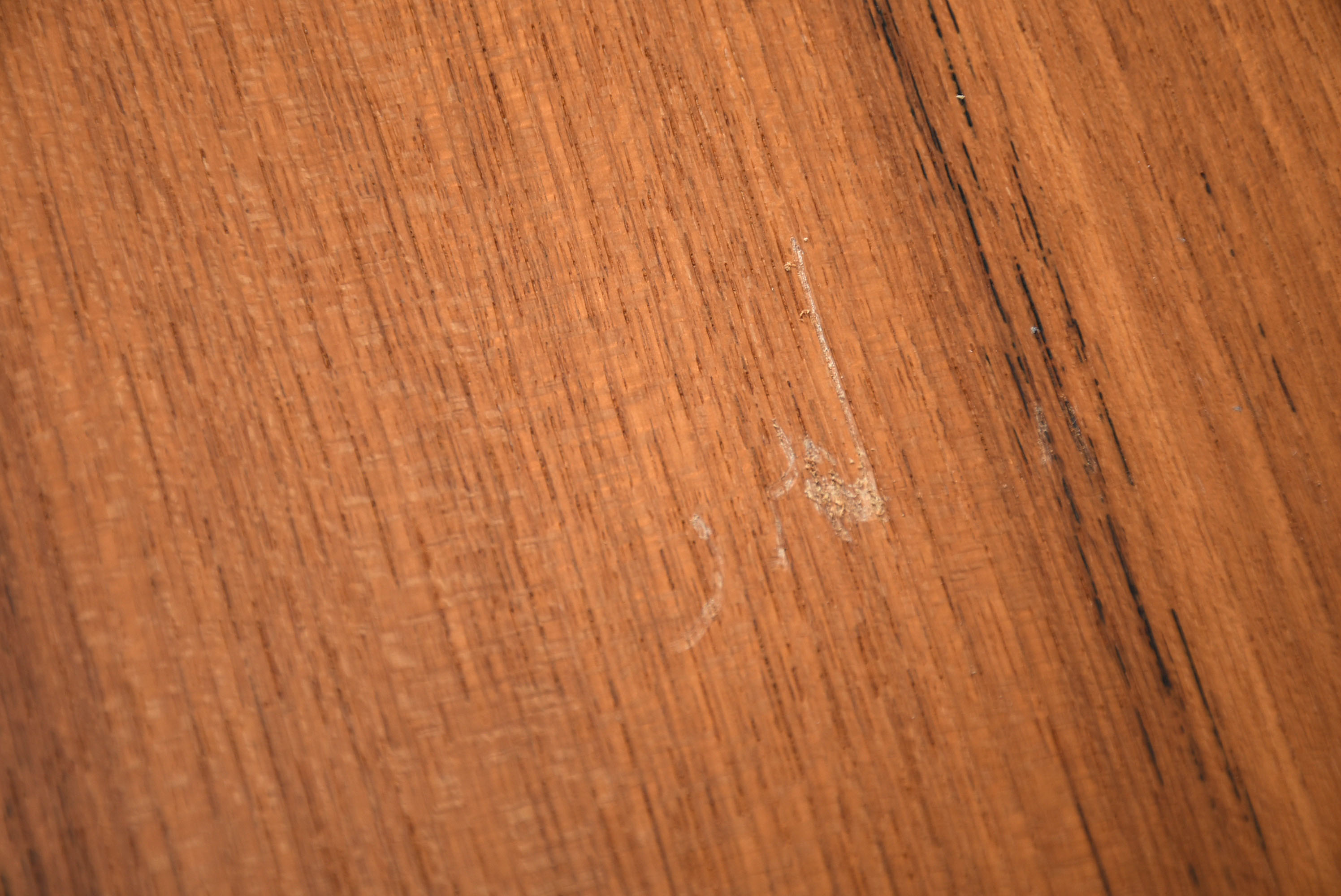 Contemporary Tall Bookshelf in Birch