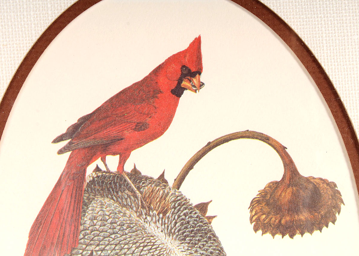 Framed Ray Harm "Cardinal on Sunflower" Offset Lithograph Print