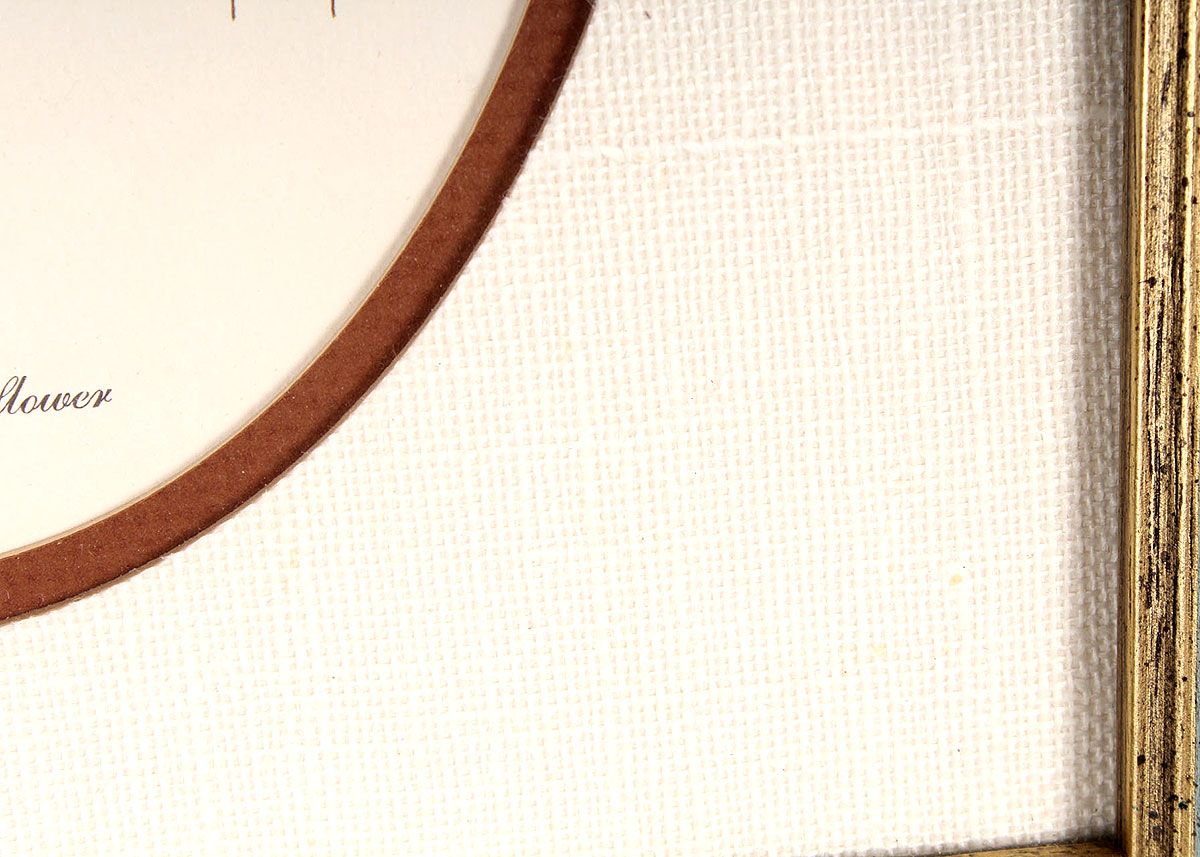 Framed Ray Harm "Cardinal on Sunflower" Offset Lithograph Print