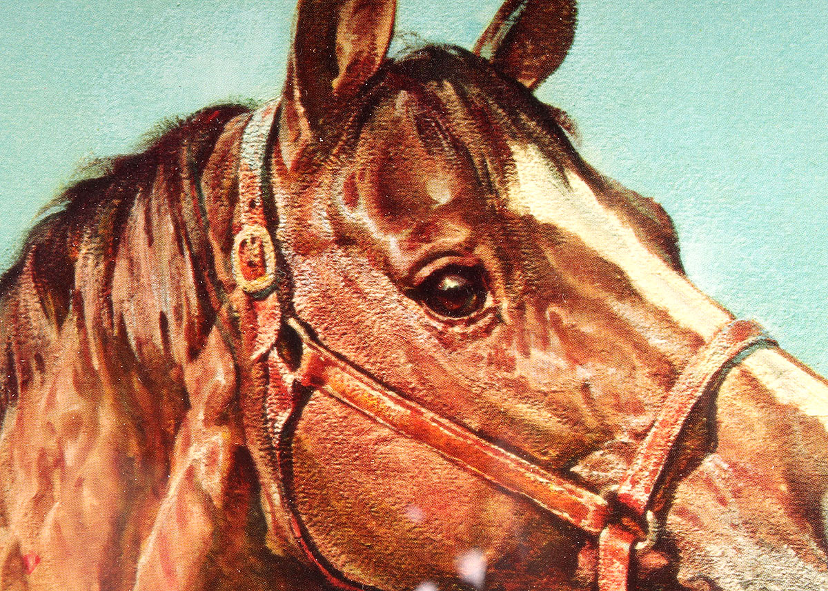 Framed Wesley Dennis Horse Offset Lithographs