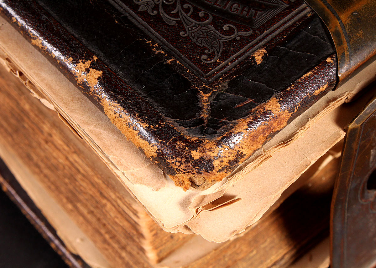 Antique "The Holy Bible" 1873