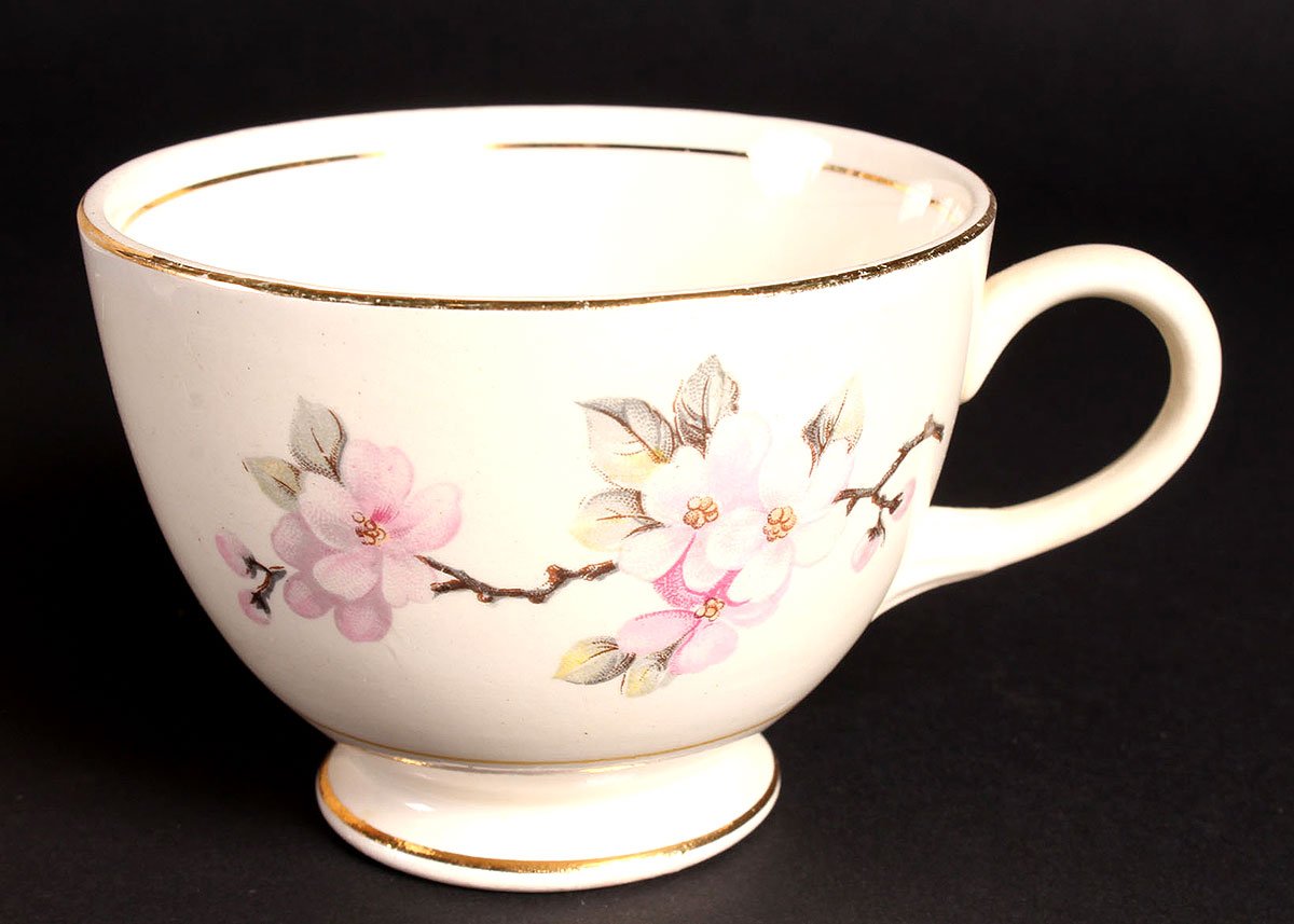 Collection of Homer Laughlin Eggshell Nautilus China