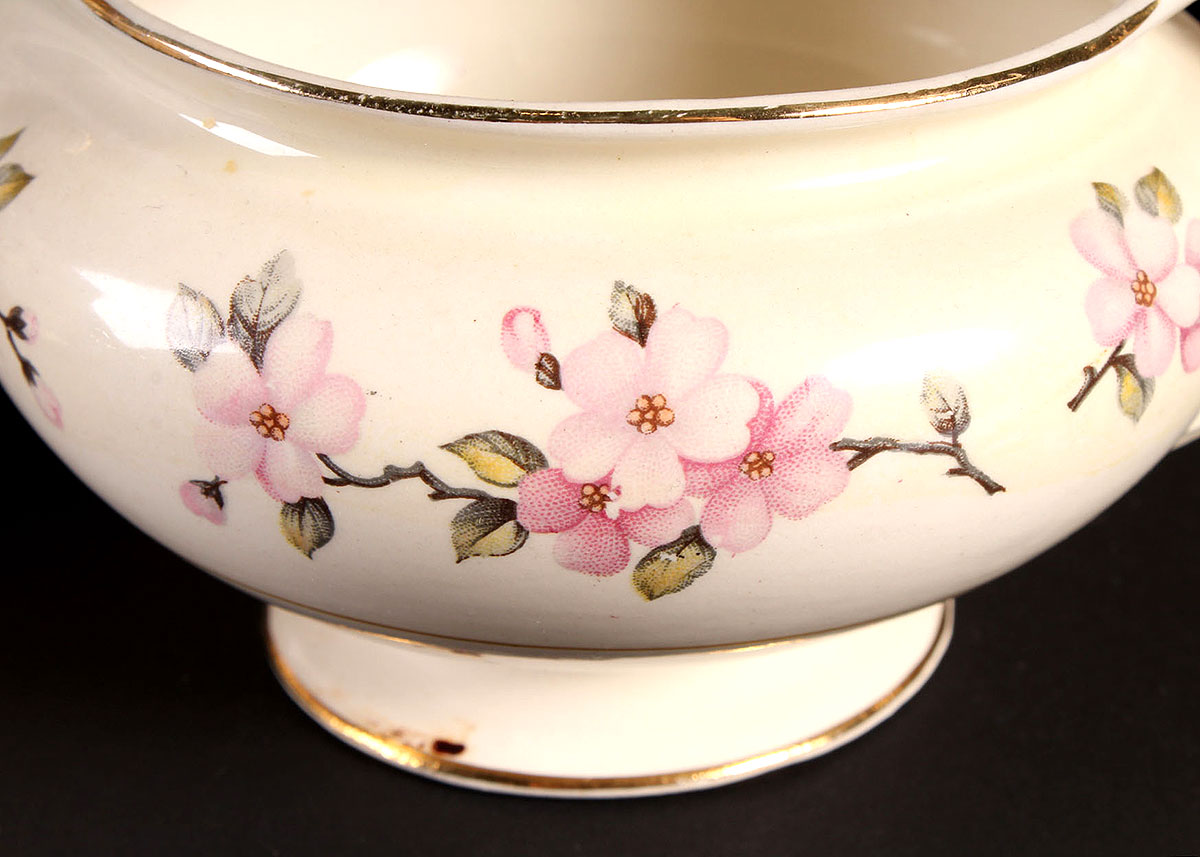 Collection of Homer Laughlin Eggshell Nautilus China