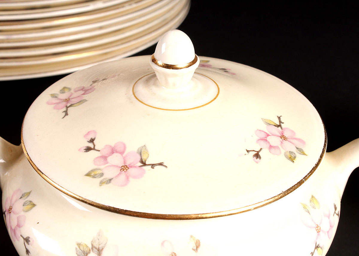 Collection of Homer Laughlin Eggshell Nautilus China