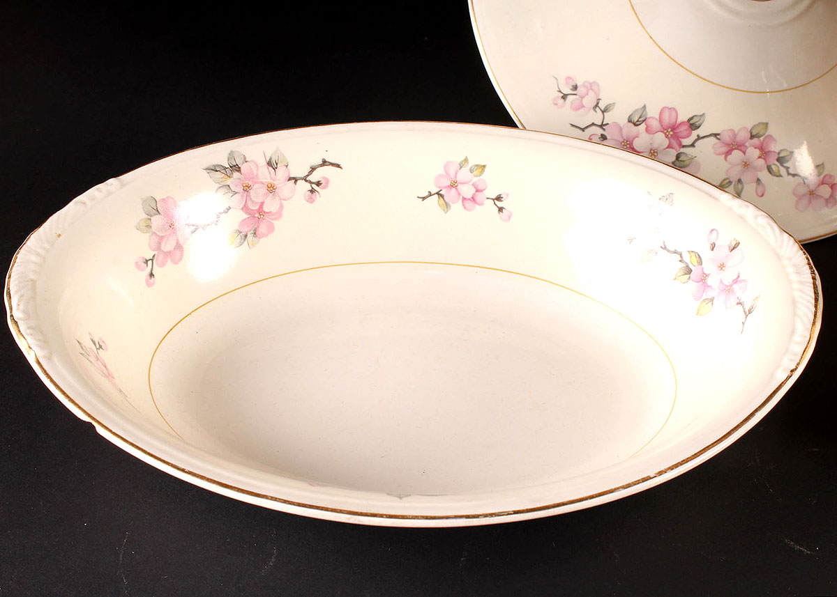 Collection of Homer Laughlin Eggshell Nautilus China