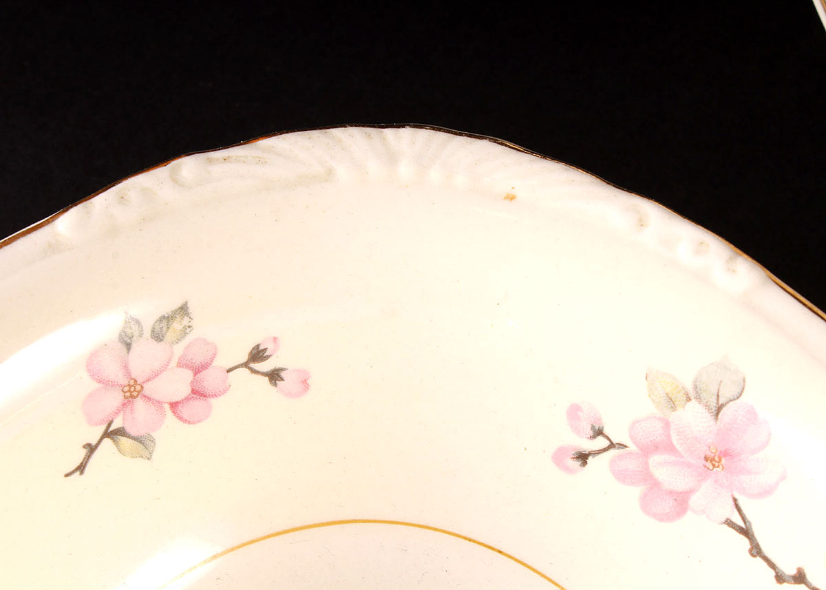 Collection of Homer Laughlin Eggshell Nautilus China