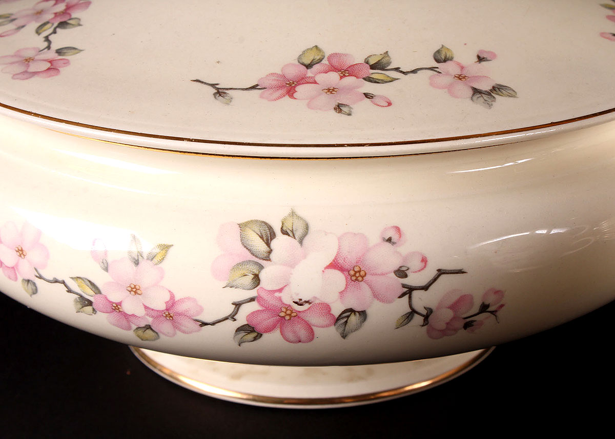 Collection of Homer Laughlin Eggshell Nautilus China