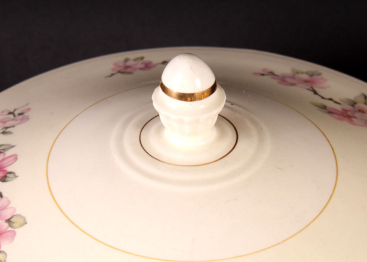 Collection of Homer Laughlin Eggshell Nautilus China