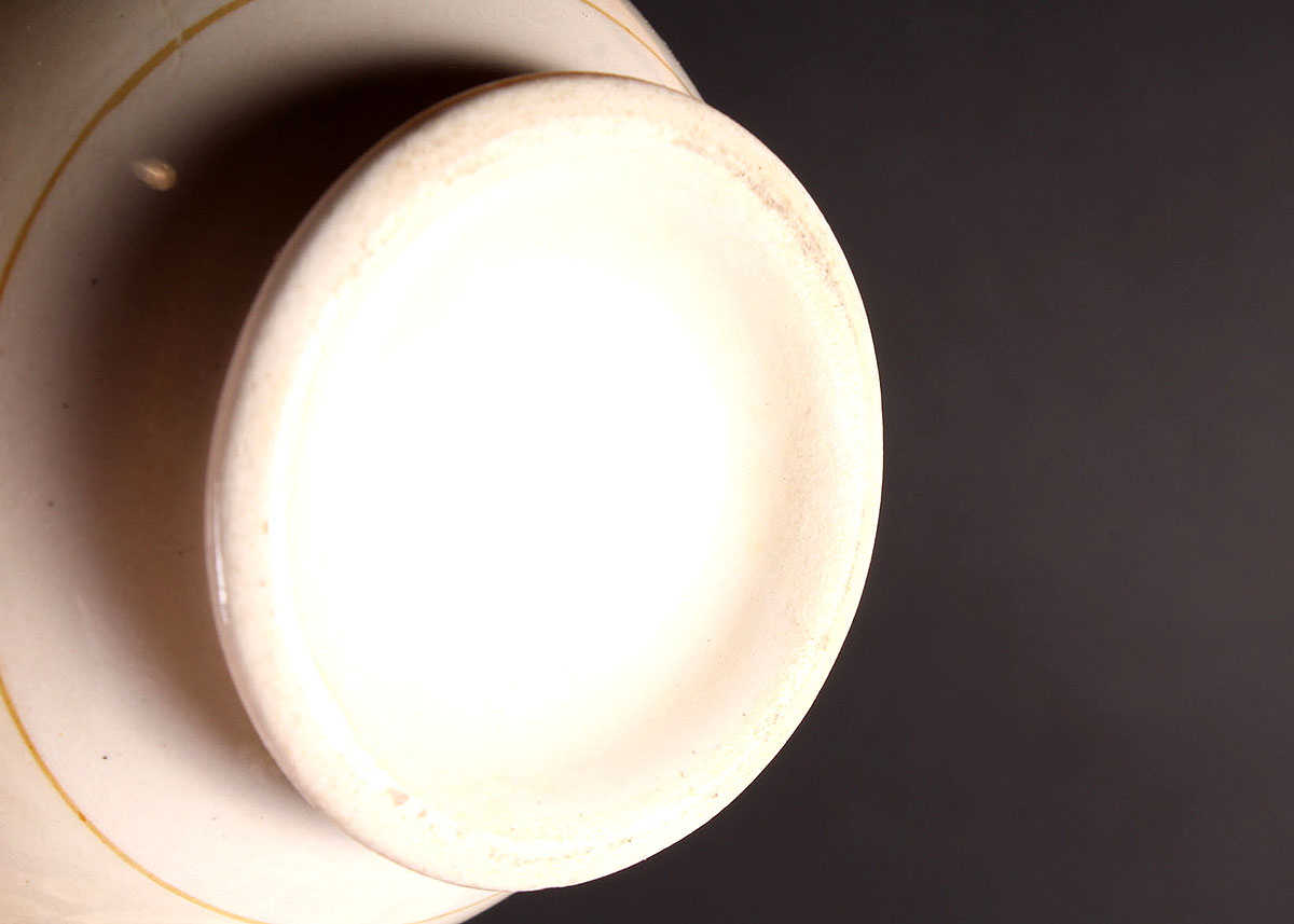 Collection of Homer Laughlin Eggshell Nautilus China