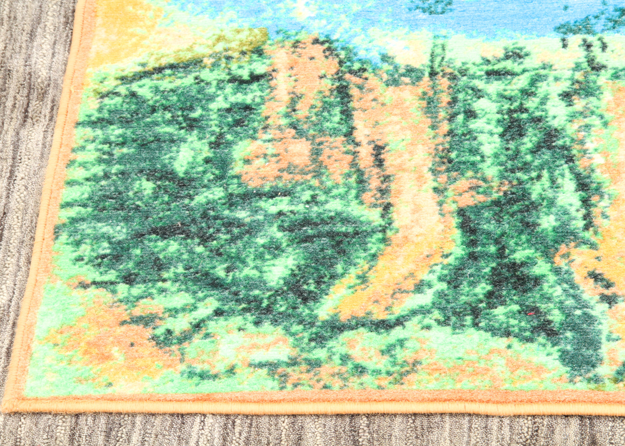 Colorful Ballerina Accent Rug