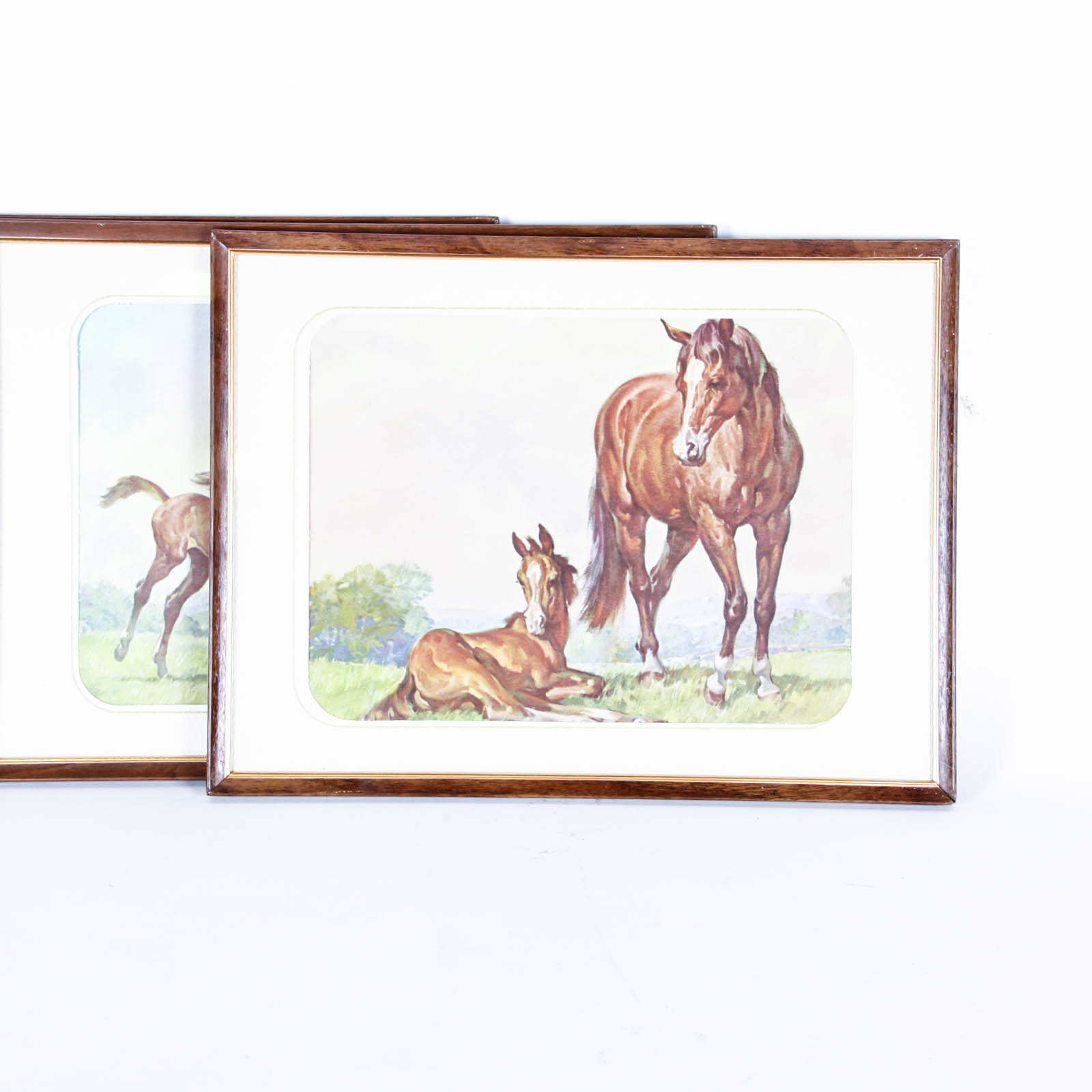 Four Offset Lithograph Horse Prints
