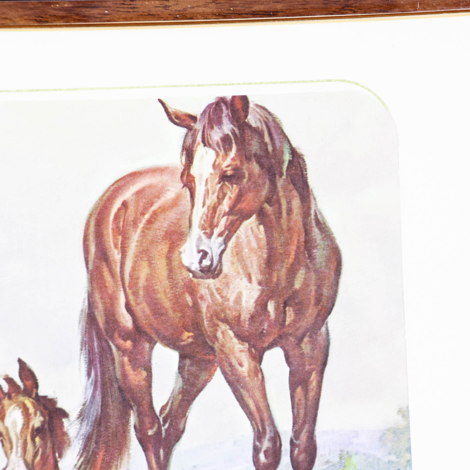 Four Offset Lithograph Horse Prints