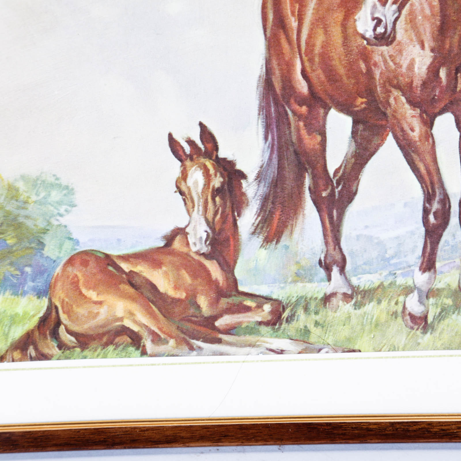 Four Offset Lithograph Horse Prints