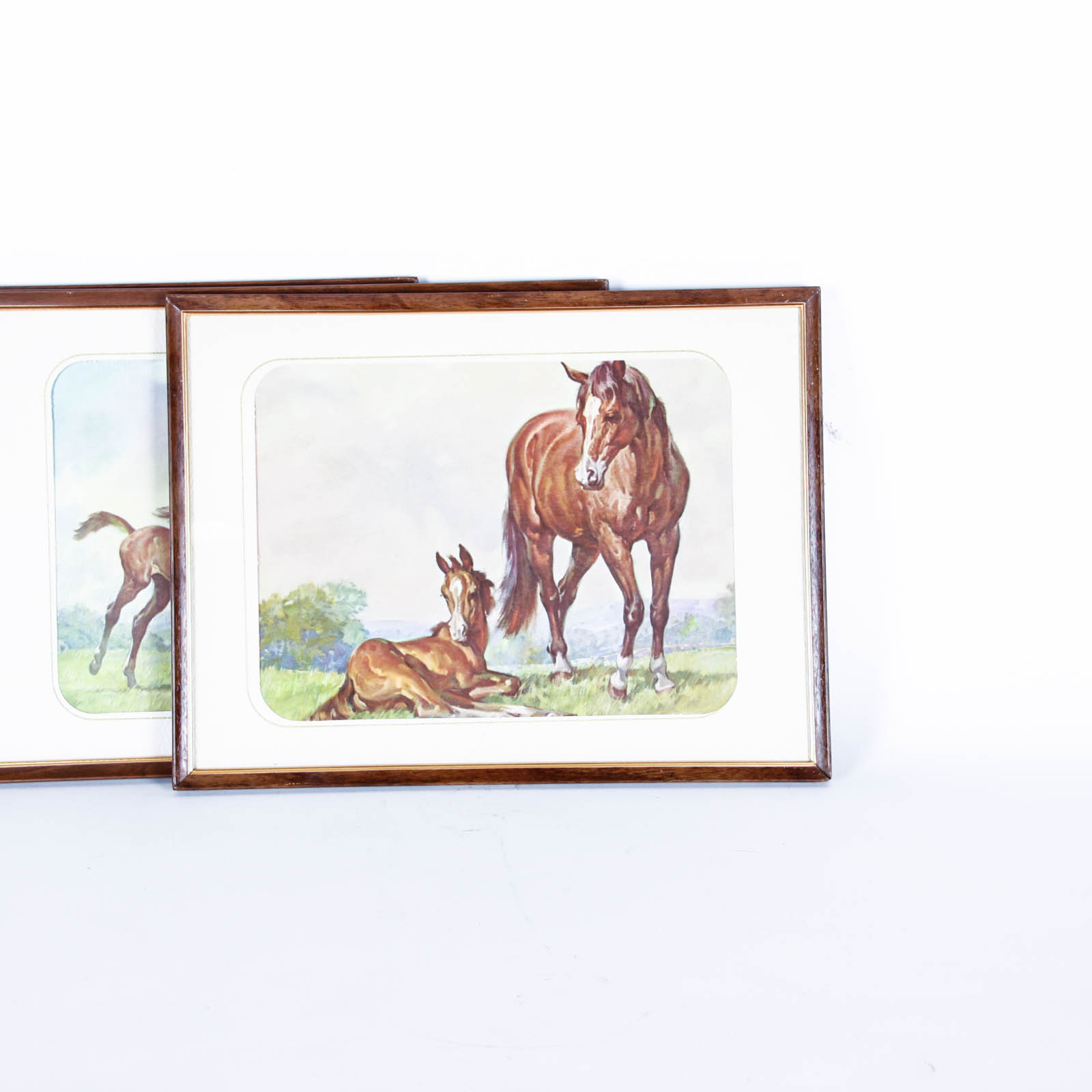 Four Offset Lithograph Horse Prints